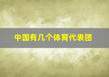 中国有几个体育代表团