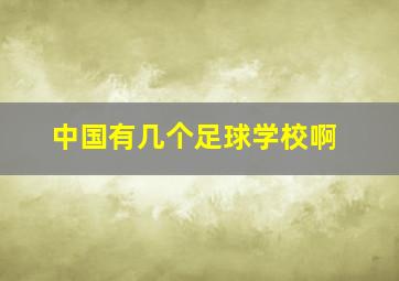 中国有几个足球学校啊