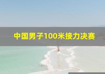 中国男子100米接力决赛