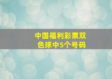 中国福利彩票双色球中5个号码