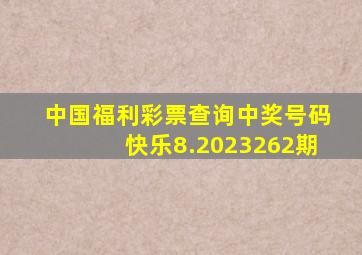 中国福利彩票查询中奖号码快乐8.2023262期