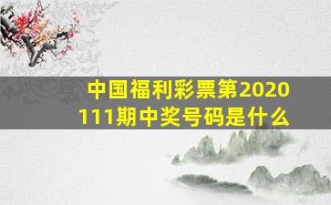 中国福利彩票第2020111期中奖号码是什么