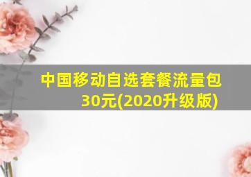 中国移动自选套餐流量包30元(2020升级版)