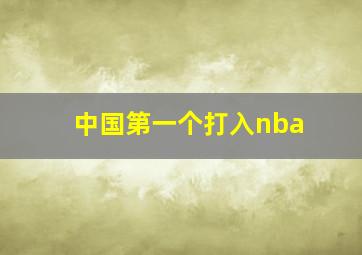 中国第一个打入nba