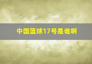 中国篮球17号是谁啊