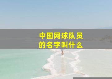 中国网球队员的名字叫什么