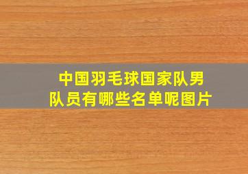 中国羽毛球国家队男队员有哪些名单呢图片