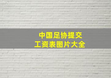 中国足协提交工资表图片大全