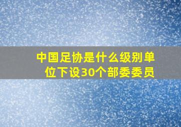 中国足协是什么级别单位下设30个部委委员