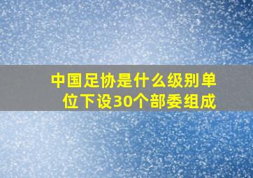 中国足协是什么级别单位下设30个部委组成