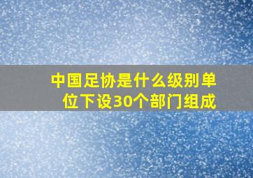 中国足协是什么级别单位下设30个部门组成