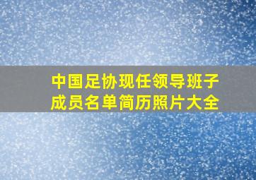 中国足协现任领导班子成员名单简历照片大全