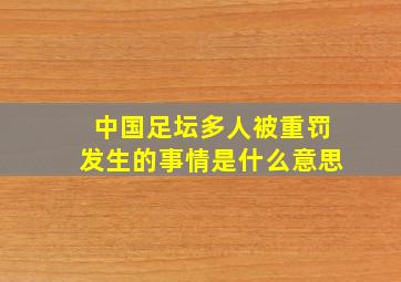 中国足坛多人被重罚发生的事情是什么意思