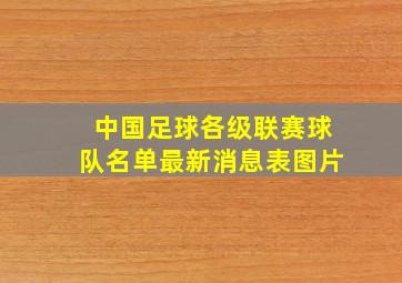 中国足球各级联赛球队名单最新消息表图片