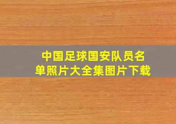 中国足球国安队员名单照片大全集图片下载