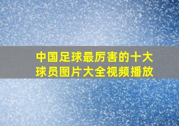 中国足球最厉害的十大球员图片大全视频播放