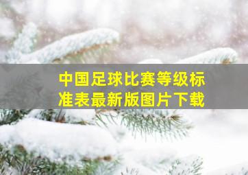 中国足球比赛等级标准表最新版图片下载