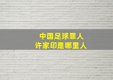 中国足球罪人许家印是哪里人