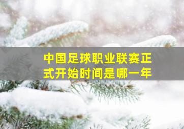 中国足球职业联赛正式开始时间是哪一年