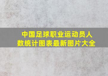 中国足球职业运动员人数统计图表最新图片大全