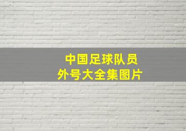 中国足球队员外号大全集图片