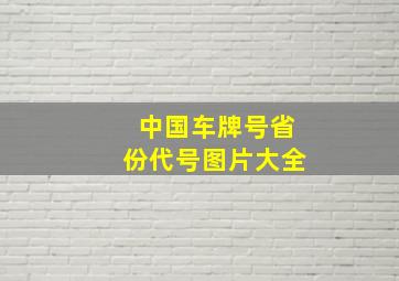 中国车牌号省份代号图片大全