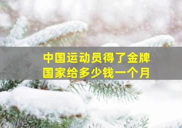 中国运动员得了金牌国家给多少钱一个月