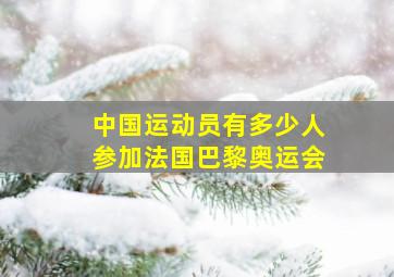 中国运动员有多少人参加法国巴黎奥运会