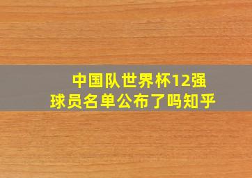 中国队世界杯12强球员名单公布了吗知乎