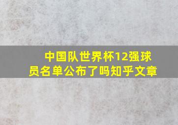 中国队世界杯12强球员名单公布了吗知乎文章