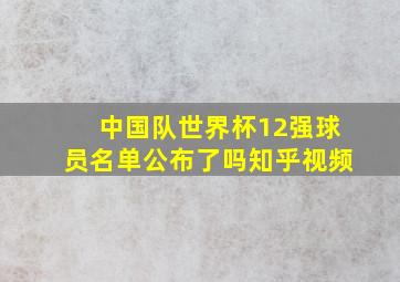 中国队世界杯12强球员名单公布了吗知乎视频