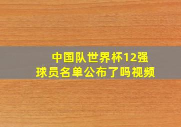 中国队世界杯12强球员名单公布了吗视频