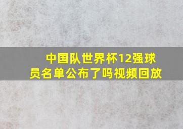 中国队世界杯12强球员名单公布了吗视频回放