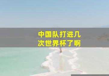 中国队打进几次世界杯了啊