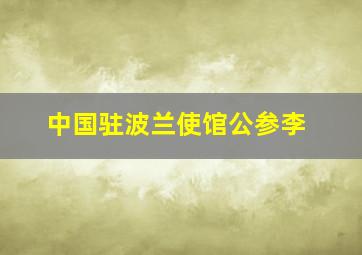 中国驻波兰使馆公参李