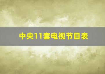 中央11套电视节目表