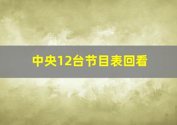 中央12台节目表回看