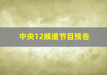 中央12频道节目预告