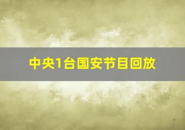 中央1台国安节目回放