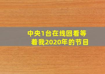 中央1台在线回看等着我2020年的节目