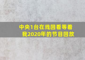 中央1台在线回看等着我2020年的节目回放