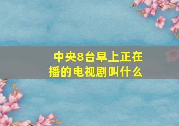 中央8台早上正在播的电视剧叫什么