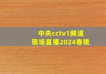 中央cctv1频道现场直播2024春晚