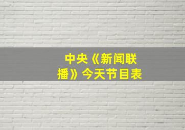 中央《新闻联播》今天节目表