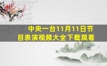 中央一台11月11日节目表演视频大全下载观看