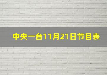 中央一台11月21日节目表