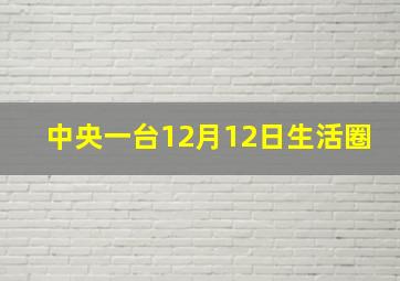 中央一台12月12日生活圈