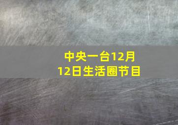 中央一台12月12日生活圈节目