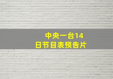 中央一台14日节目表预告片