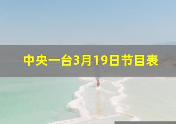 中央一台3月19日节目表